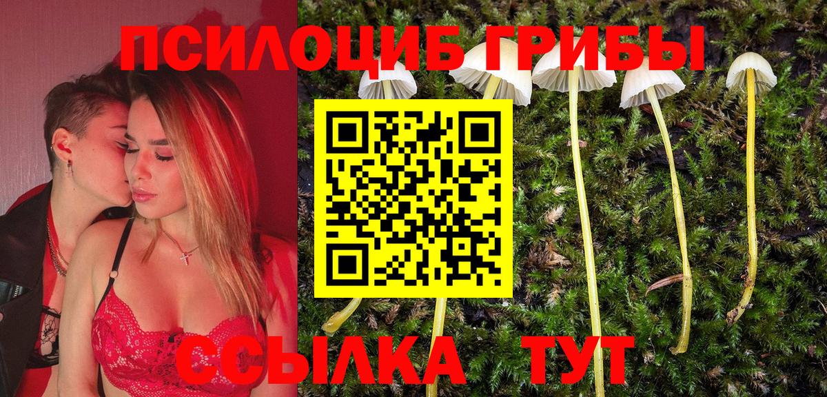 Псилоцибиновые грибы Magic Shrooms  Псилоцибиновые грибы Psilocybe  Вход с VPN  Мирный 