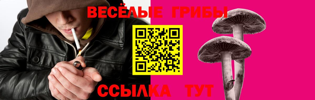 Галлюциногенные грибы Magic Shrooms Мирный